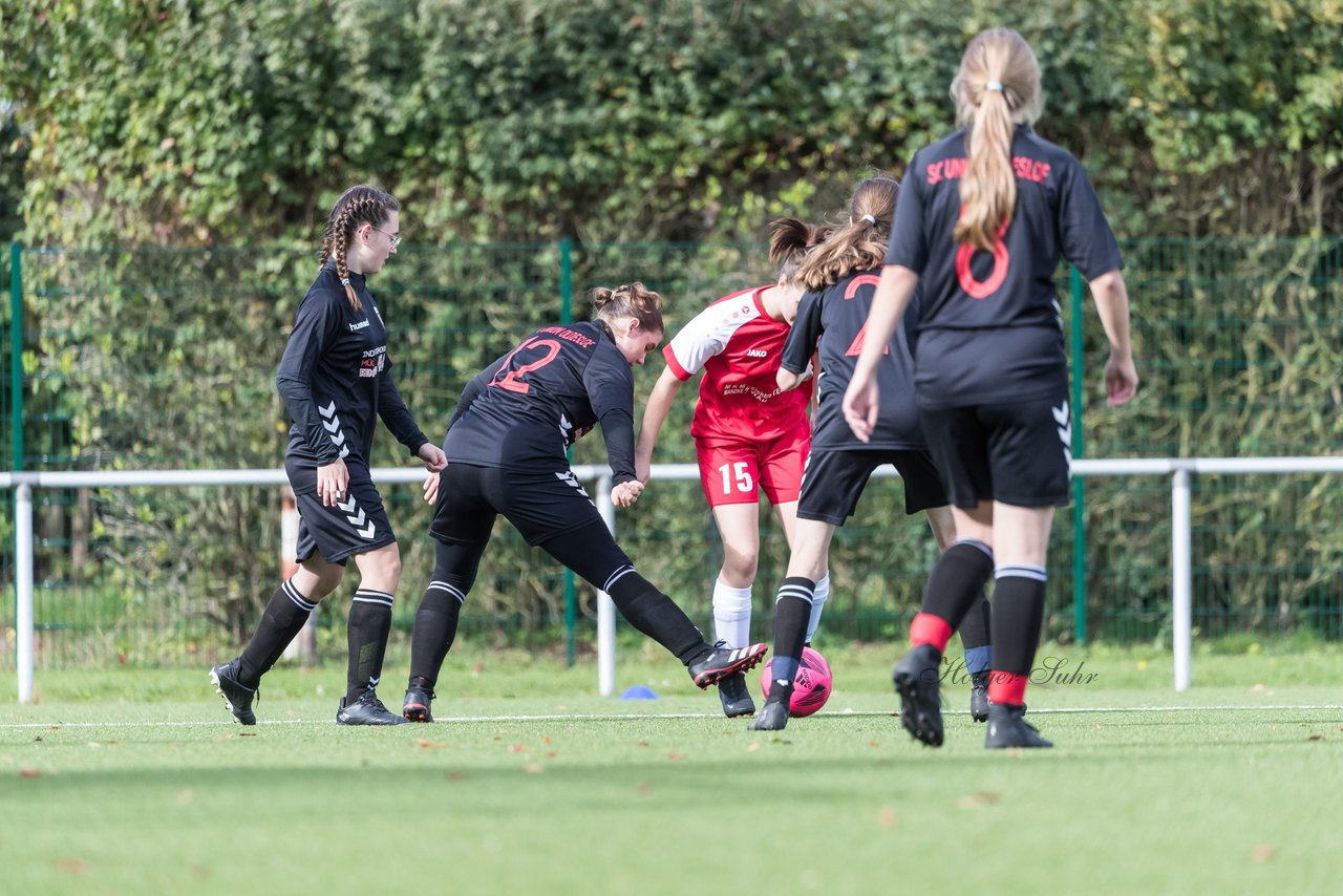 Bild 265 - wBJ SV Wahlstedt - SC Union Oldesloe 2 : Ergebnis: 1:0